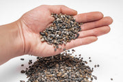 UNS Controsand - Santa Fe Substrate - Buce Plant