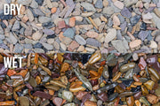 UNS Controsand - Sequoia Substrate - Buce Plant