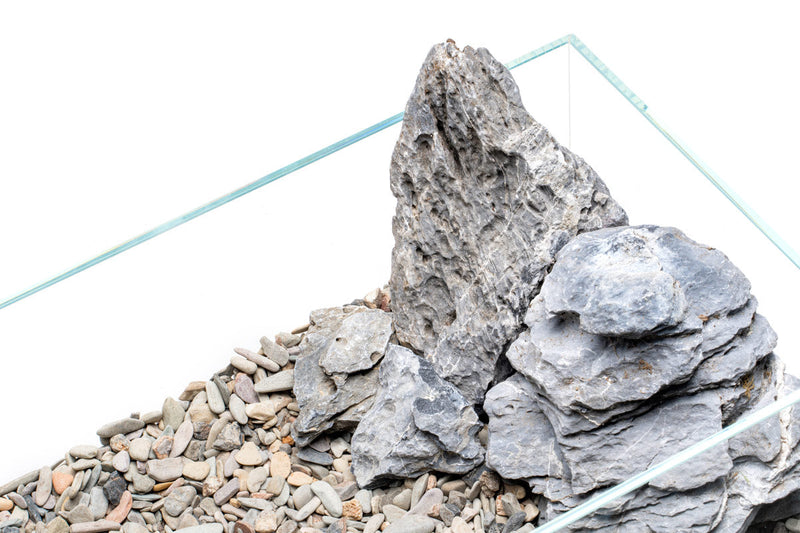 UNS Controsand - Sequoia Substrate - Buce Plant