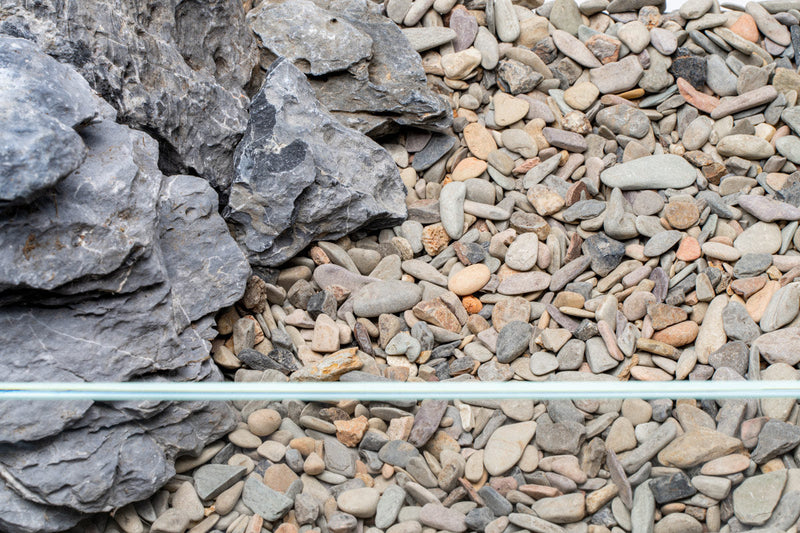 UNS Controsand - Sequoia Substrate - Buce Plant