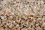 UNS Controsand - Tahoe Substrate - Buce Plant