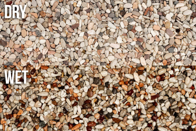 UNS Controsand - Tahoe Substrate - Buce Plant