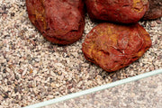 UNS Controsand - Tahoe Substrate - Buce Plant