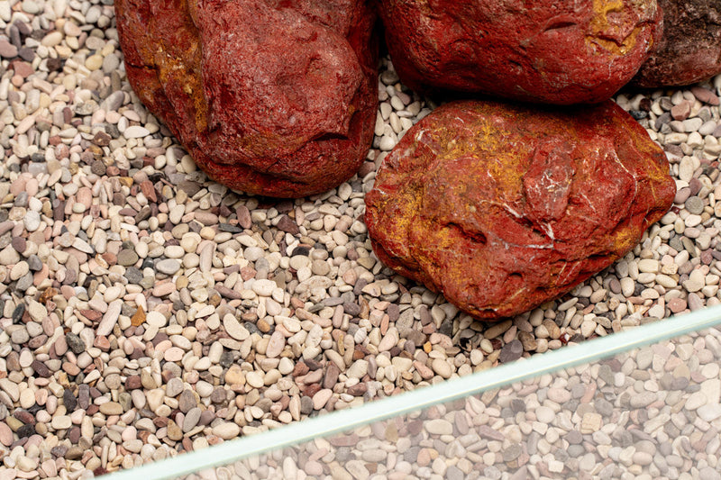 UNS Controsand - Tahoe Substrate - Buce Plant