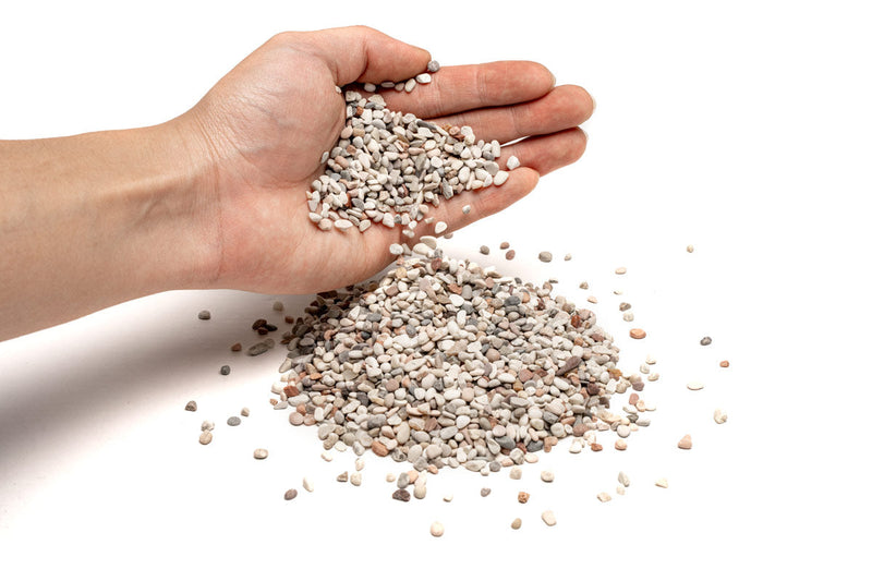 UNS Controsand - Tahoe Substrate - Buce Plant