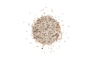 UNS Controsand - Tahoe Substrate - Buce Plant
