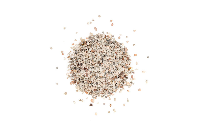 UNS Controsand - Tahoe Substrate - Buce Plant
