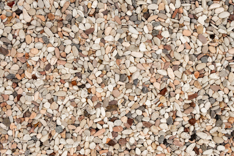 UNS Controsand - Tahoe Substrate - Buce Plant