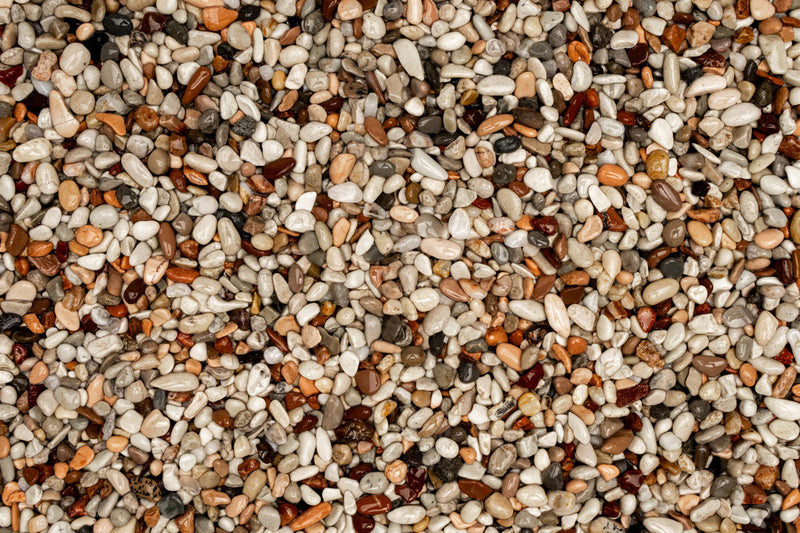 UNS Controsand - Tahoe Substrate - Buce Plant