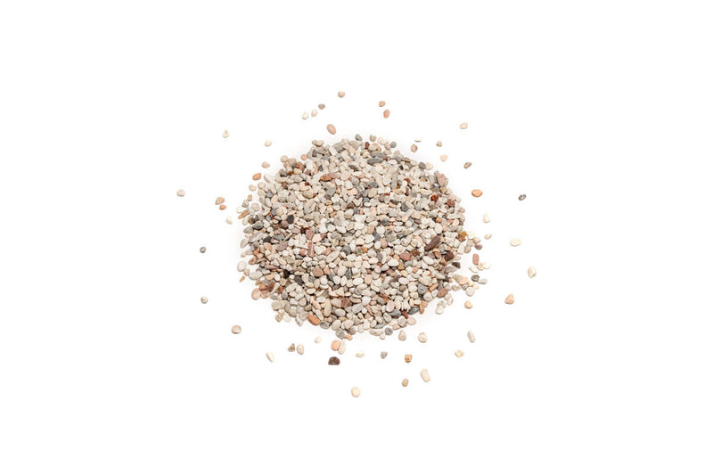 UNS Controsand - Tahoe Substrate - Buce Plant