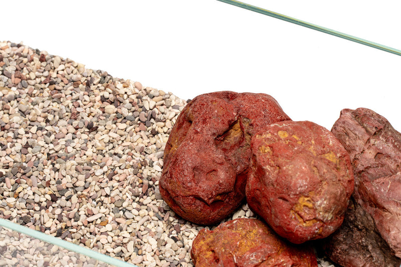UNS Controsand - Tahoe Substrate - Buce Plant