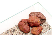 UNS Controsand - Tahoe Substrate - Buce Plant