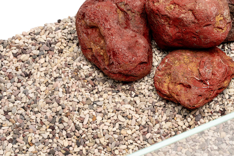 UNS Controsand - Tahoe Substrate - Buce Plant