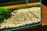 UNS Controsand - Tahoe Substrate - Buce Plant