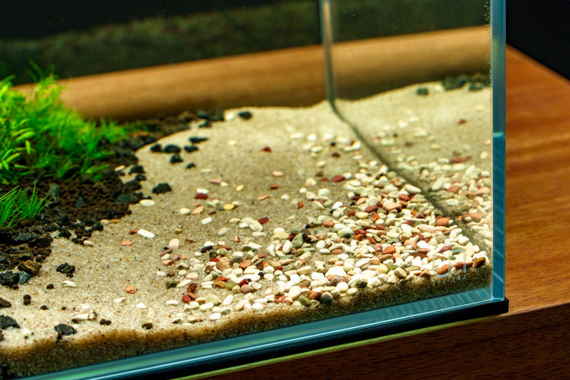 UNS Controsand - Tahoe Substrate - Buce Plant