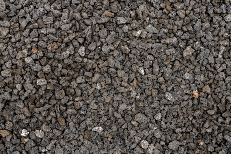 UNS Controsand - Vesuvius Substrate - Buce Plant