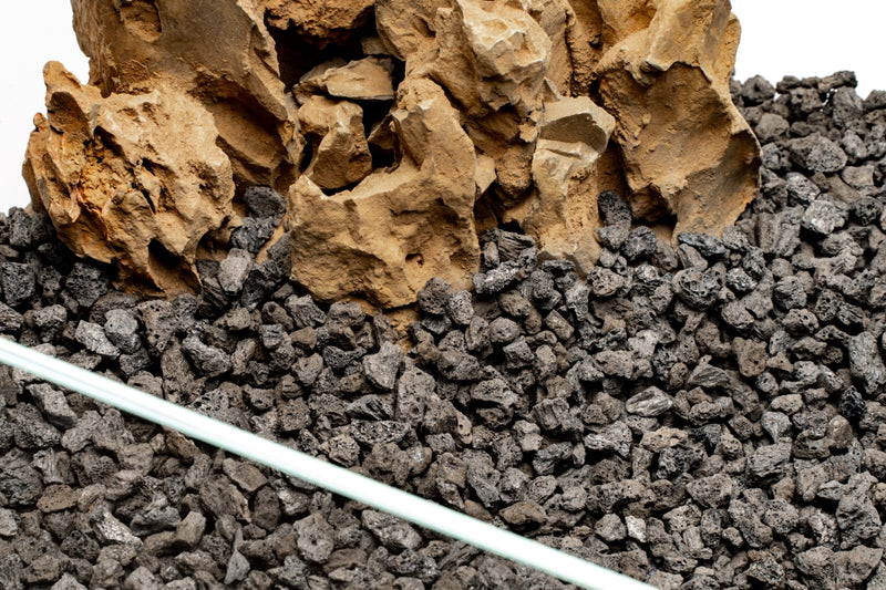 UNS Controsand - Vesuvius Substrate - Buce Plant