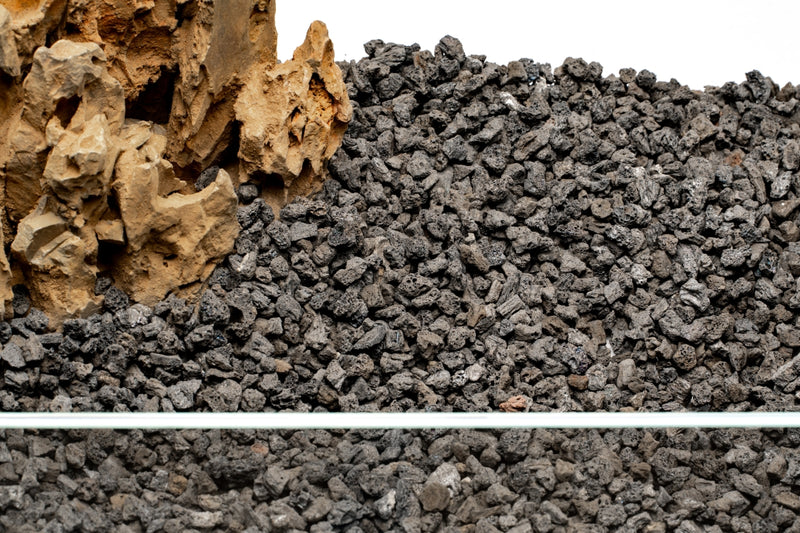 UNS Controsand - Vesuvius Substrate - Buce Plant