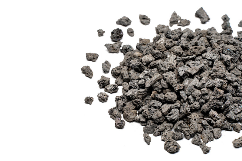 UNS Controsand - Vesuvius Substrate - Buce Plant