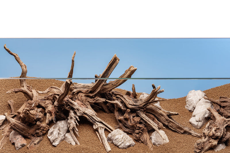Nano Horn Wood Driftwood - Buce Plant