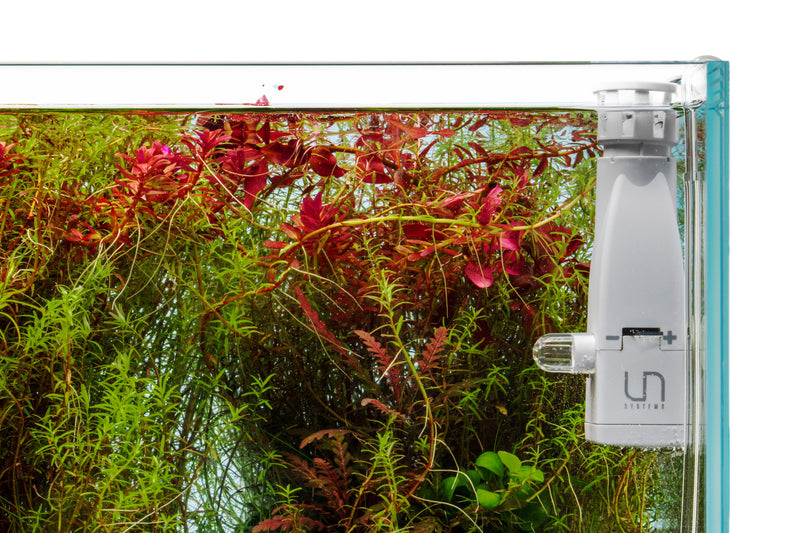 UNS Delta Mini Surface Skimmer Filters - Buce Plant