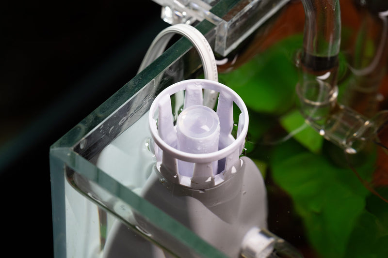 UNS Delta Mini Surface Skimmer Filters - Buce Plant