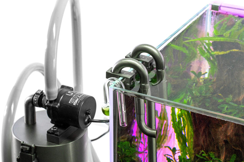 UNS Drop Checker Accessories - Buce Plant