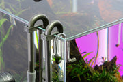UNS Drop Checker Accessories - Buce Plant