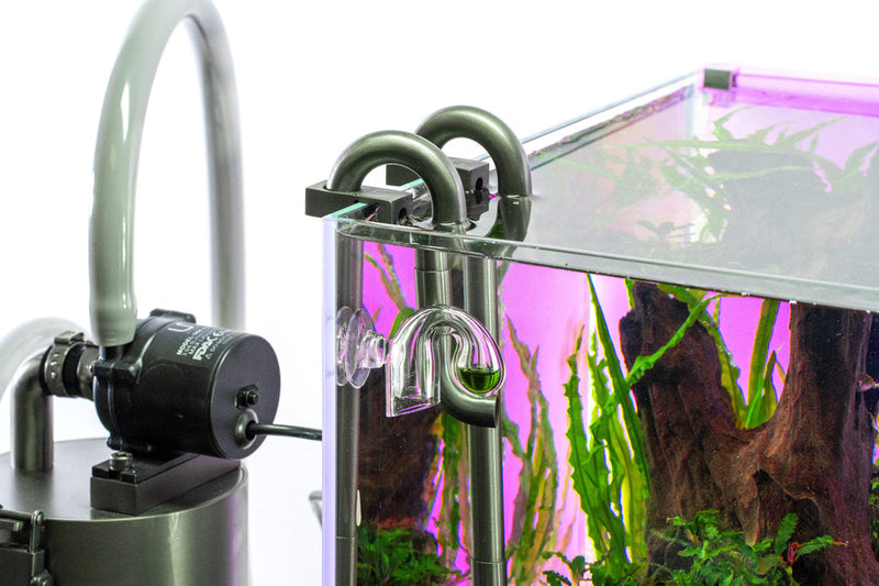 UNS Drop Checker Accessories - Buce Plant