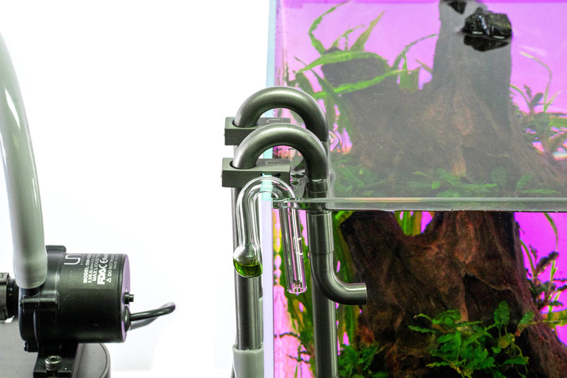 UNS Drop Checker Accessories - Buce Plant