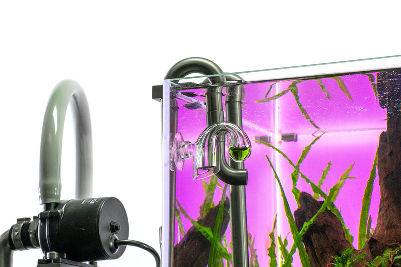 UNS Drop Checker Accessories - Buce Plant