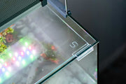UNS Dual AIO Rimless Tank Glass Lids Glass Lids - Buce Plant