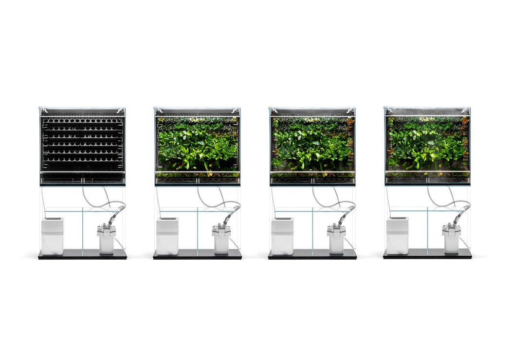 UNS Foresta Plant Holding System - Expansion Board Set