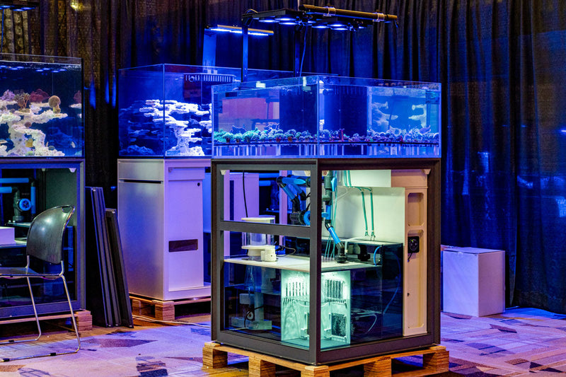 Rimless UNS Frag System R80 aquarium by Ultum Nature Systems, showcasing clear glass tank with sleek rimless design.