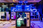 Rimless UNS Frag System R80 aquarium tank by Ultum Nature Systems, showcasing transparent glass with sleek rimless design.