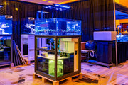 Clear rimless tank from Ultum Nature Systems UNS Frag System R80, showcasing sleek glass design for reef or freshwater aquariums.