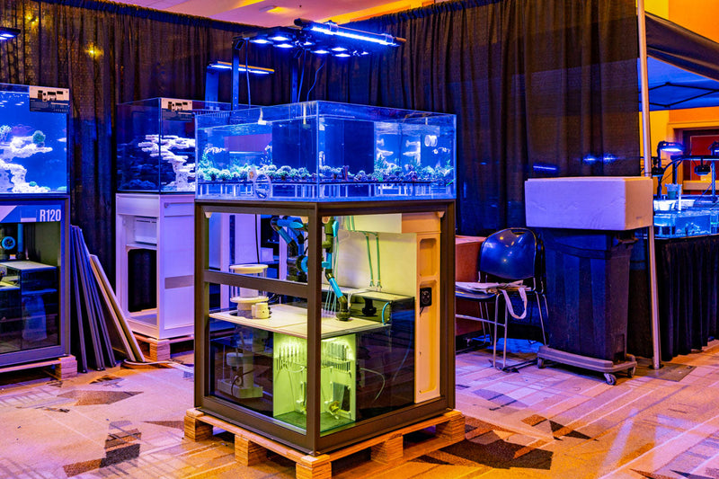 Clear rimless tank from Ultum Nature Systems UNS Frag System R80, showcasing sleek glass design for reef or freshwater aquariums.