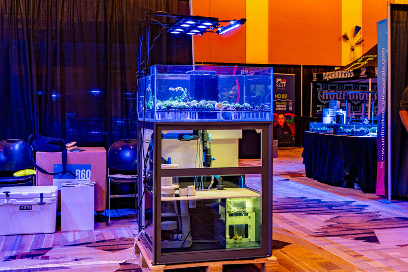 Rimless UNS Frag System R80 by Ultum Nature Systems featuring clear glass panels and a sleek, modern aquascaping design