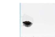 UNS Glass Cup Accessories - Buce Plant