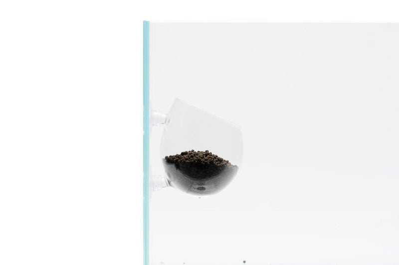 UNS Glass Cup Accessories - Buce Plant