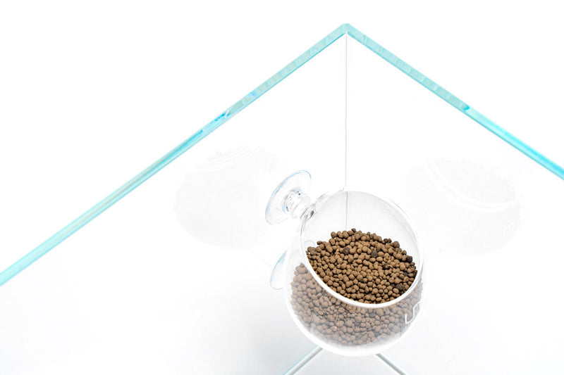 UNS Glass Cup Accessories - Buce Plant