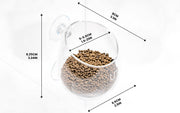 UNS Glass Cup Accessories - Buce Plant