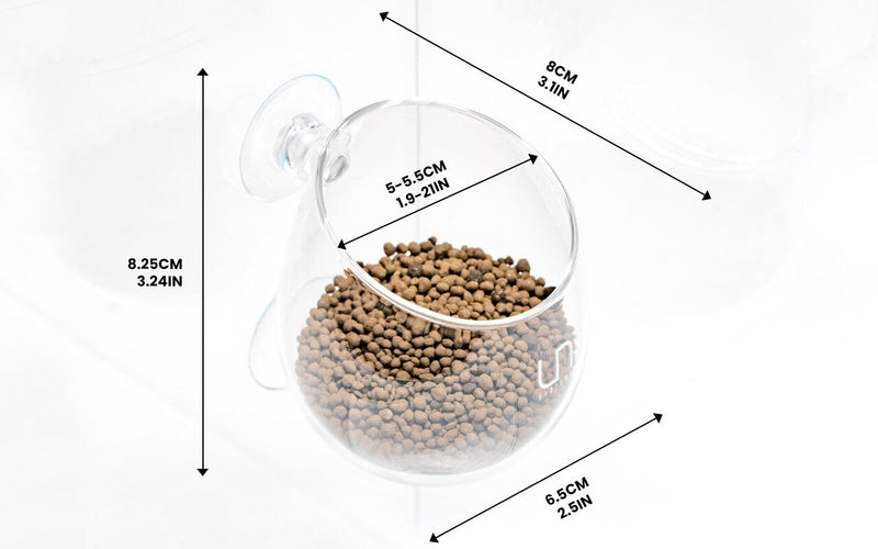 UNS Glass Cup Accessories - Buce Plant