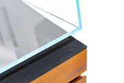 UNS 120SS - 47.6 Gallon Ultra Clear Rimless Aquarium Rimless Tanks - Buce Plant