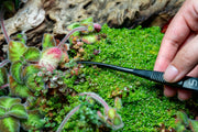 UNSTOOLS UNS Limited Black Spring Curved Scissors for accessories, featuring a sleek black finish and ergonomic design.