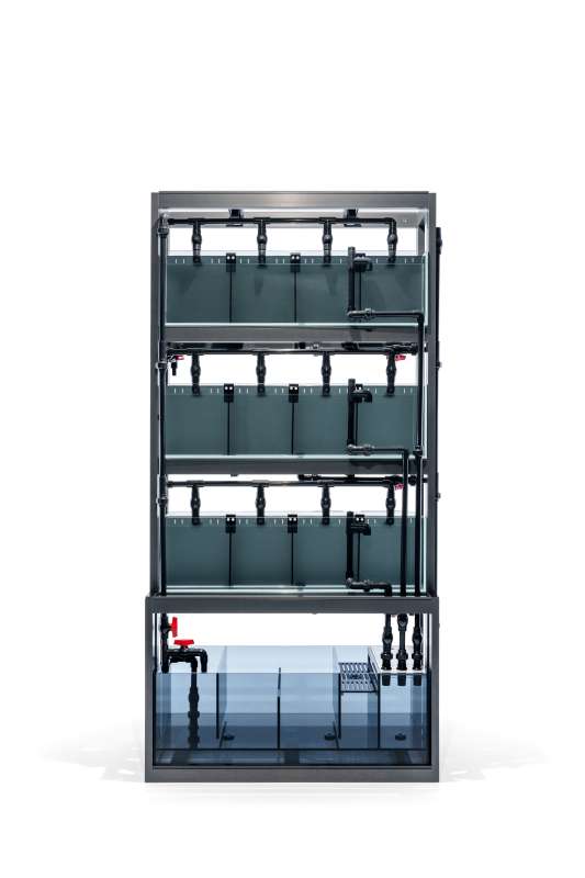 Rimless UNS Livestock Holding System tank by Ultum Nature Systems, designed for easy access and clean display of aquatic animals.