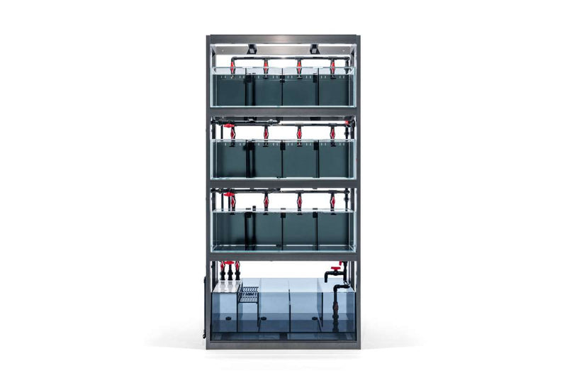 Rimless UNS Livestock Holding System tank by Ultum Nature Systems, showcasing clear acrylic construction for aquatic livestock.