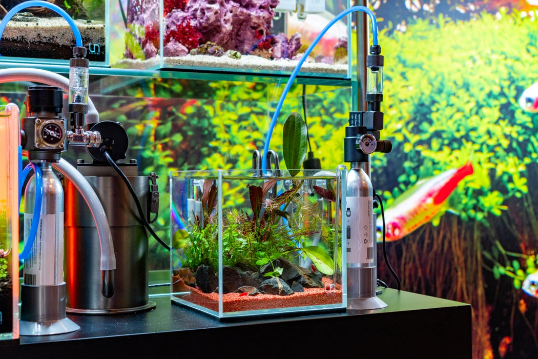 Complete Co2 System For Aquariums How To Setup A Paintball CO2 System