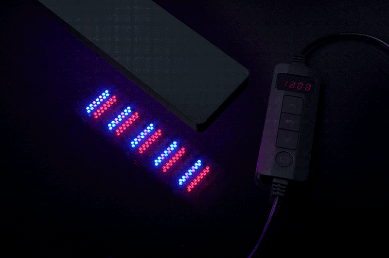 UNS Mini Refugium Light - Clip-On Lighting - Buce Plant