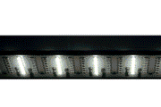 UNS Mini Refugium Light - Clip-On Lighting - Buce Plant